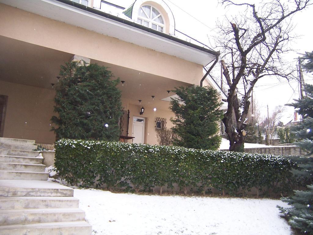 Villa Szekely Leanyfalu Экстерьер фото
